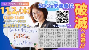 【11/2開催】Nピボ・アドボカシーチーム勉強会「SDGs未達成は破滅への道～SDGs実施指針に向けた現状と課題～」