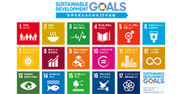 sdg_logo