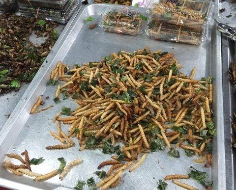 ウガンダでの食育経験から気づいた「昆虫食」の可能性
