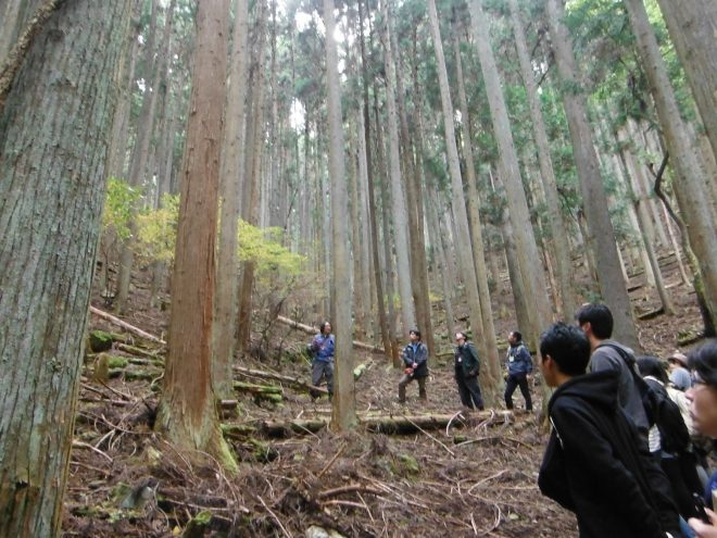 【2/15(木)】水の循環講座　すみだと世界をつなぐ水の大切な話　第3回「奥多摩の水源林を見に行こう！」