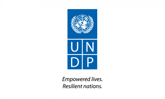 【募集】国連開発計画(UNDP)駐日代表事務所 コンサルタント募集 ( 2件)