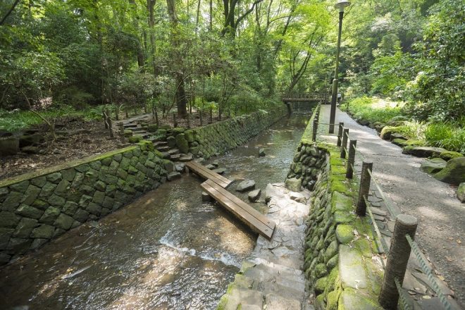 【開催終了しました】2020年10月17日（土）墨田区水の循環講座第2回「地形と水」 等々力渓谷を歩いて地形・湧水を観察しよう！