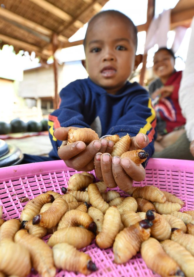 【助成金】味の素ファンデーション「食と栄養」国際協力支援プログラム（AIN）公募９月末〆