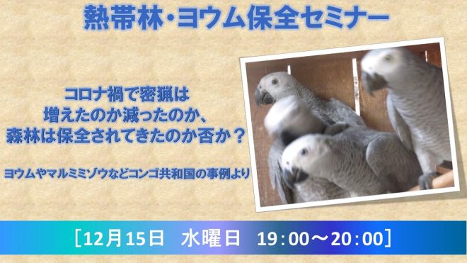 12／15（水）熱帯林・ヨウム保全セミナー　