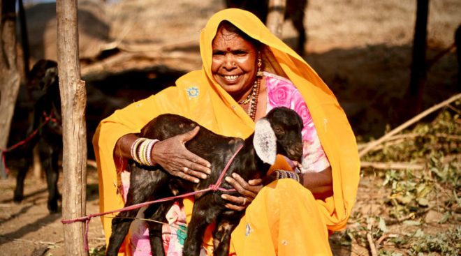 【5/31までに延長】FTCJ子どもアンバサダーがインド貧困世帯の母親たちへ山羊を贈るためのバースデードネーションを実施中