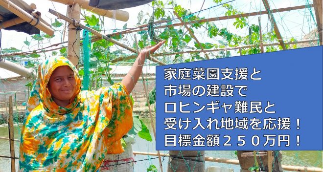 【目標250万円】クラファン実施中！家庭菜園支援と市場の建設で、ロヒンギャ難民と受入れ地域両方を応援！