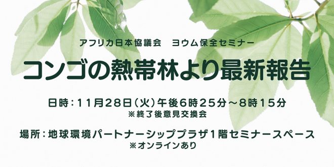 11月28日ヨウム保全セミナー「コンゴの熱帯林より最新報告」