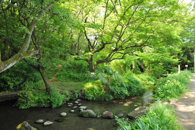 【参加者募集】10/27 墨田区水の循環講座 第1回「地形と水」 平成の名水百選に選ばれた落合川（東京都）を散策し、”川のはじまり”や災害時の地下水利用について考えよう！