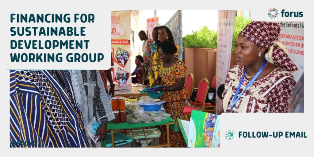 Forus Working Group on Financing for Sustainable Development